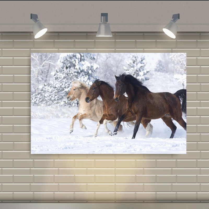 تابلو بوم طرح اسب در طبیعت برف مدل SDB2520