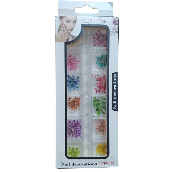 مجموعه تزئین ناخن آیاسیو طرح گل خشک مدل Z2 بسته 12 عددی