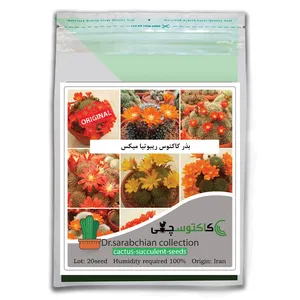 بذر کاکتوس ریبوتیا میکس کاکتوسچی مدل AM-063