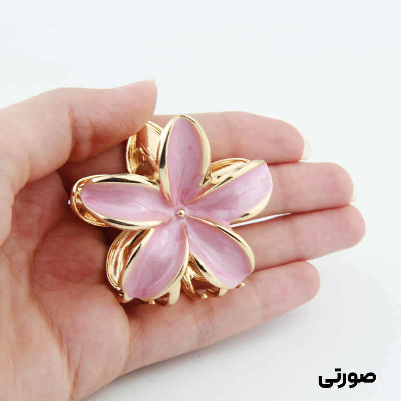 کلیپس مو زنانه مدل پلومریا کد 3327