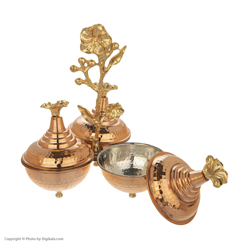 عکس شماره 6 : اردورخوری مسی کد 001