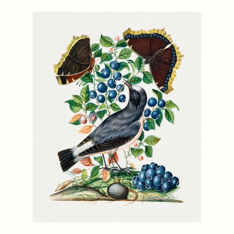 پوستر مدل چاپ قدیمی گنجشک