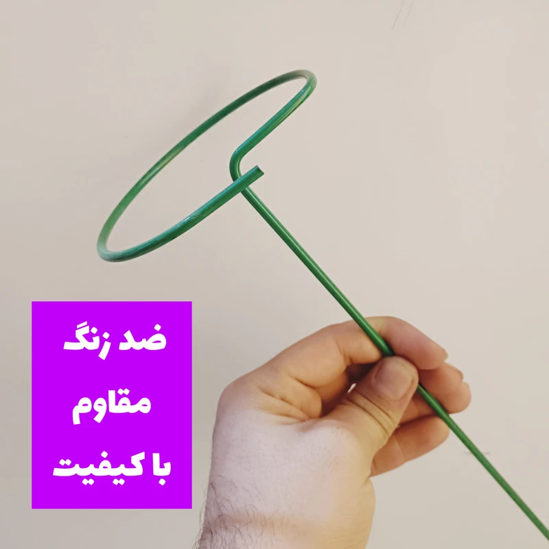 عکس شماره 5