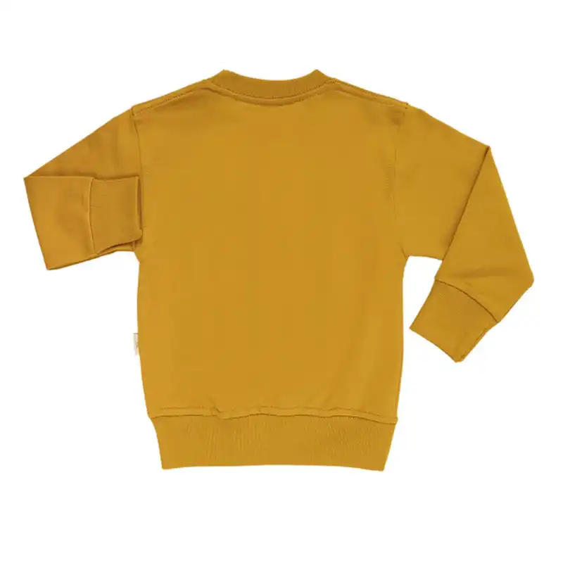 ست سویشرت و شلوار پسرانه مدل MDSS-CG6327