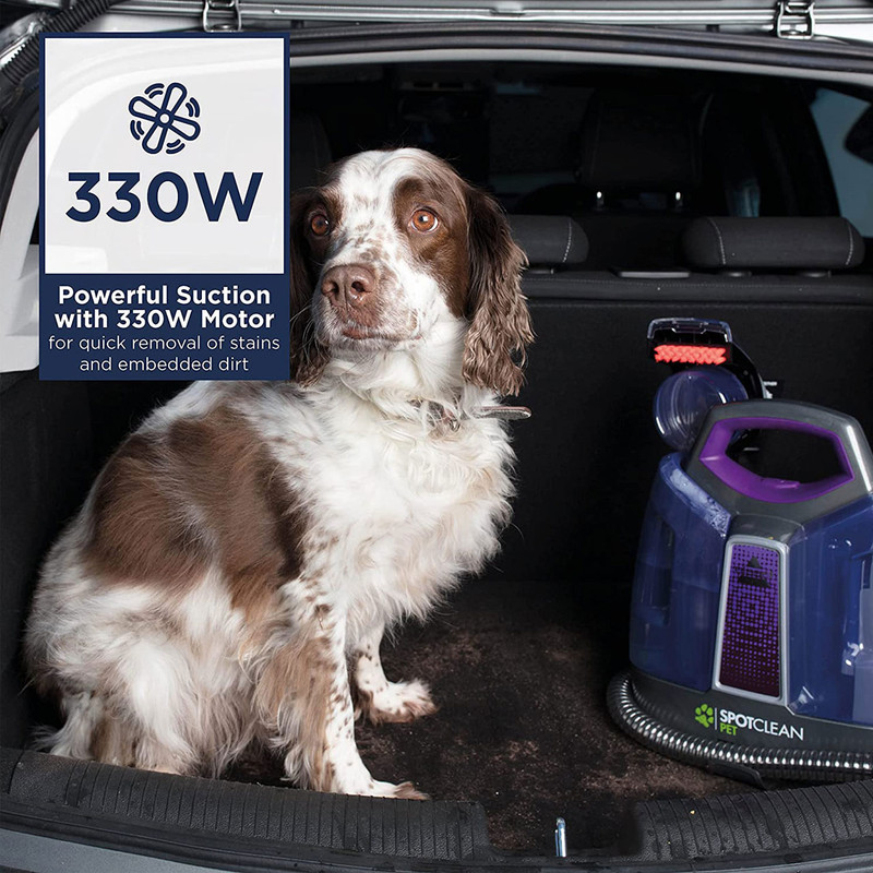 فرش شوی و مبل شوی بیسل مدل 36982