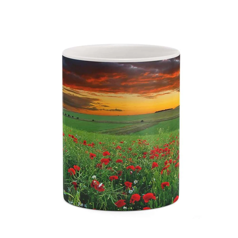 ماگ کاکتی مدل منظره کد mgh18273