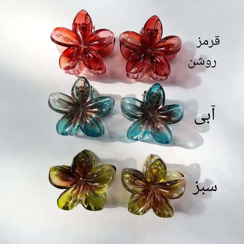 کلیپس مو زنانه مدل پلومریا کد p23 بسته 2 عددی