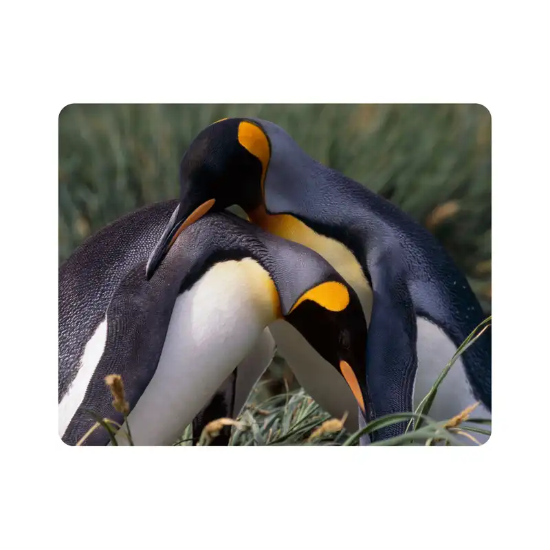 ماوس پد اطلس آبی طرح پنگوئن مدل T2057