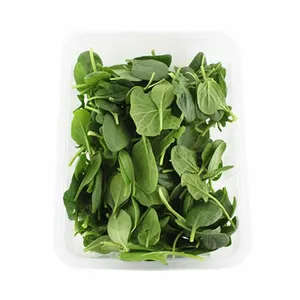 بیبی اسفناج ممتاز - 85 گرم