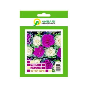 بذر گل کلم زینتی الوان کد BZA-026