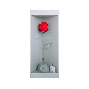 گل رز جاودان مدل ایستاده