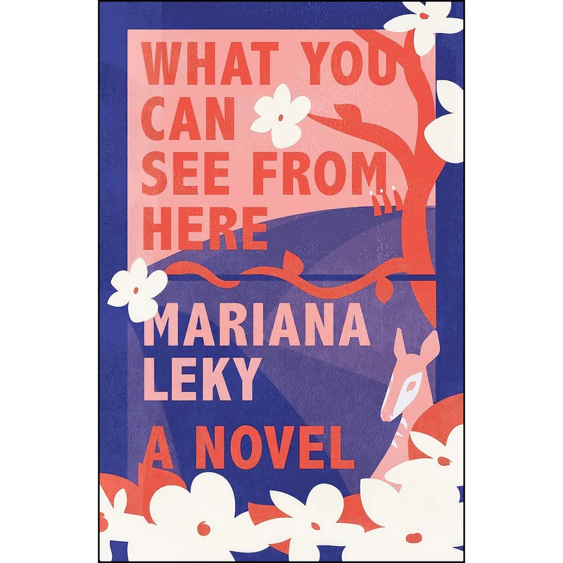 کتاب What You Can See from Here اثر Mariana Leky and Tess Lewis انتشارات Straus and Giroux