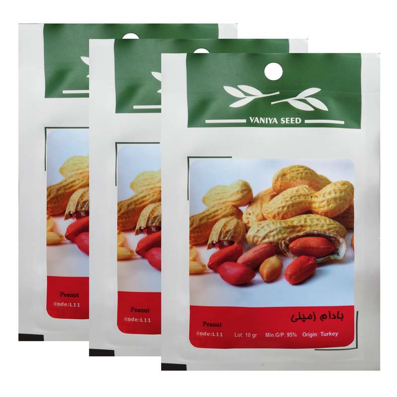 بذر بادام زمینی وانیا سید کد L12 مجموعه 3 عددی