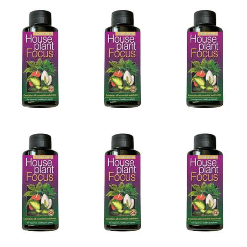 کود کامل گیاهان آپارتمانی فوکوس مدل WS حجم 100 میلی لیتر بسته 6 عددی