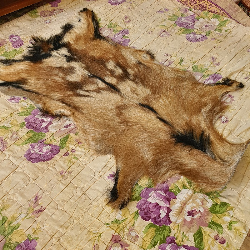 فرش پوست مدل Nixo 8140