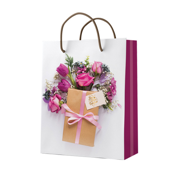 ساک دستی مدل 10160 بسته 12 عددی