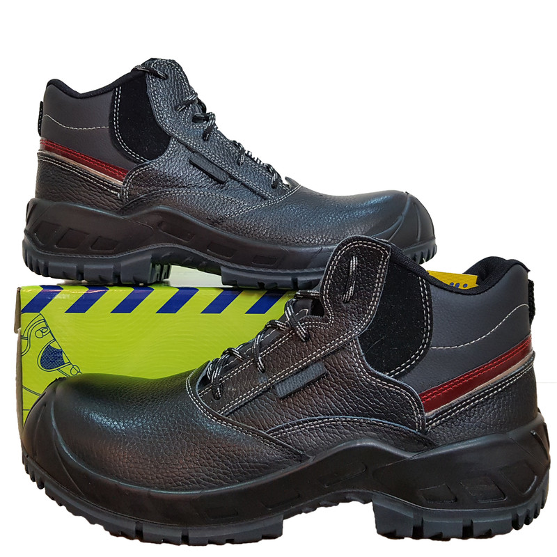 پوتین ایمنی مدل سپاستین