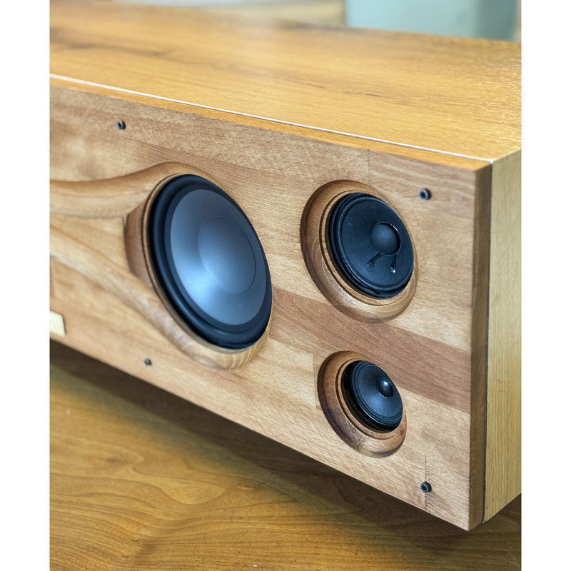 اسپیکر دکومینال مدل P300