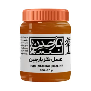 عسل گز عموعطار بارجین _ 700 گرم  