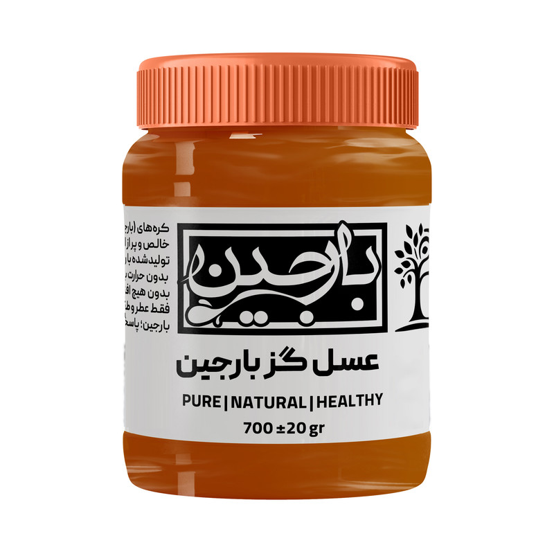 عسل گز عموعطار بارجین _ 700 گرم  