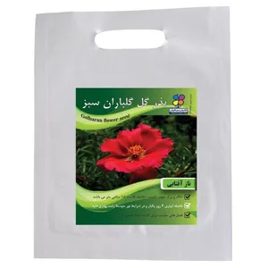 بذر گل ناز آفتابی شرکت گلباران سبز گیلان مدل BNA بسته 24 عددی