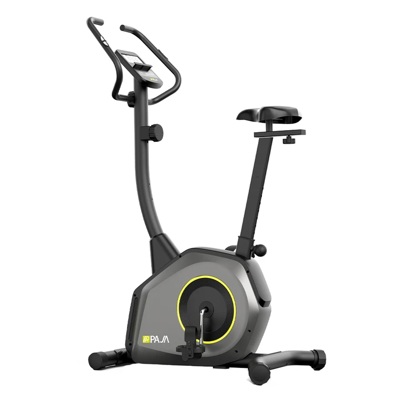 دوچرخه ثابت پاژا مدل YK-10S16B