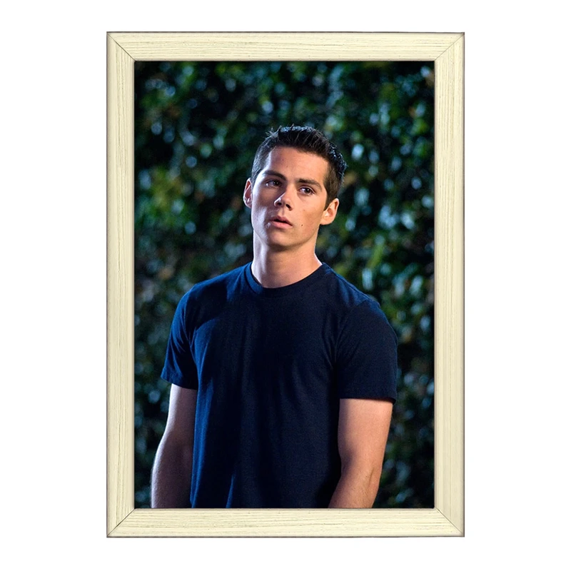 تابلو خندالو طرح استایلز استلینسکی سریال تین ولف Teen Wolf کد 28446
