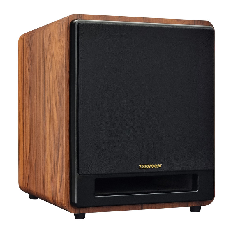 ساب ووفر اکتیو تایفون مدل TY-SB10A
