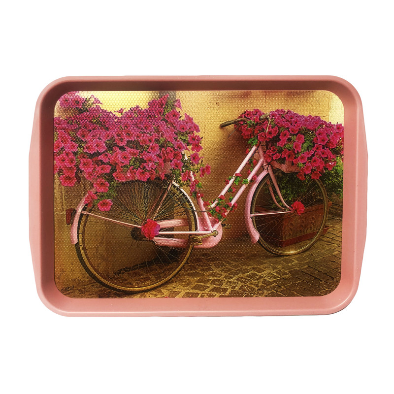 سینی مدل MEYSA طرح دوچرخه پر از گل