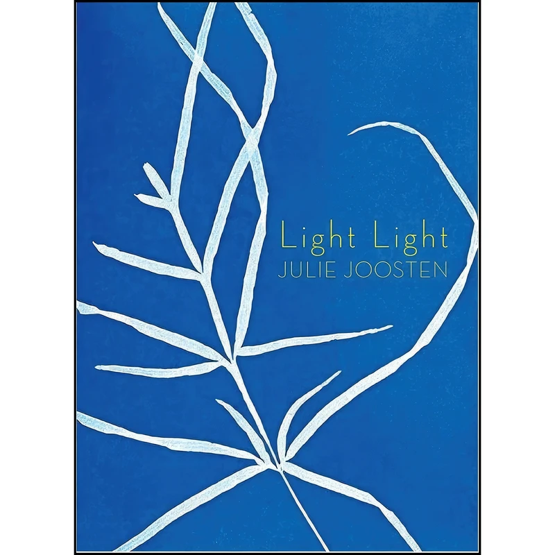 کتاب Light Light  اثر Julie Joosten انتشارات Bookxhug Press