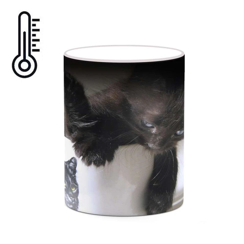 ماگ حرارتی کاکتی مدل گربه سان کد mgh19244