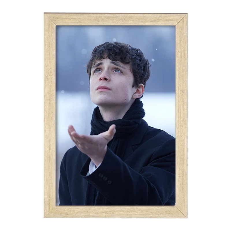 تابلو خندالو مدل گیلبرت سریال آنشرلی کد 28988