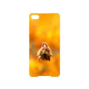 MAHOOT Squirrel Cover Sticker for BlackBerry Z30