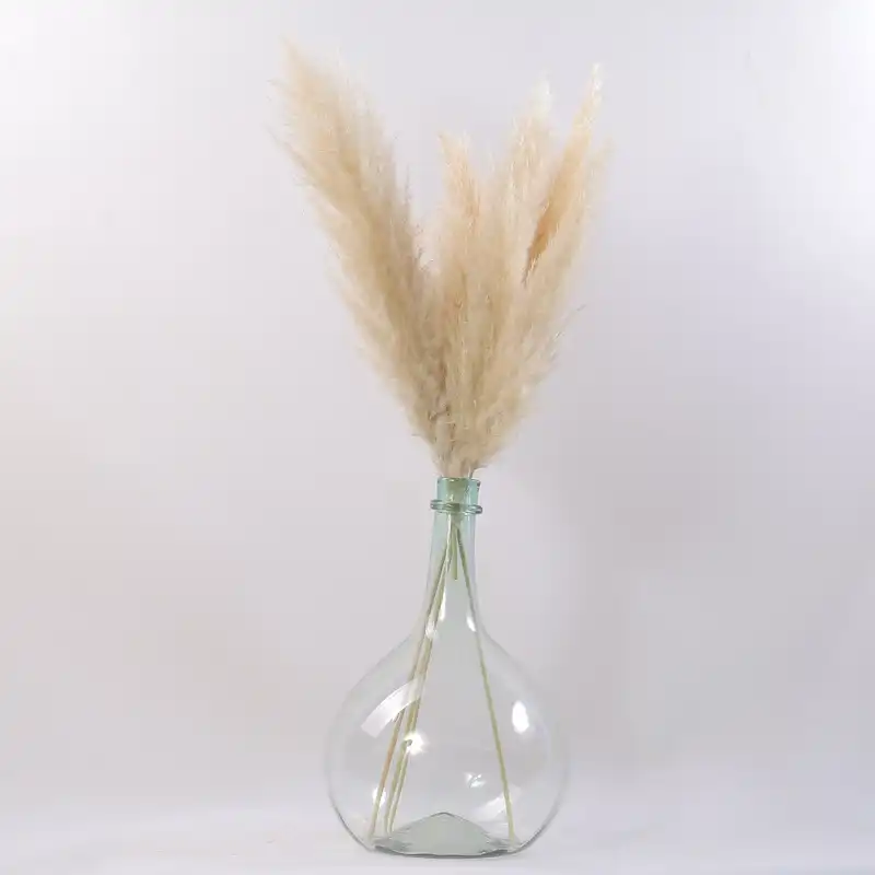 گل خشک پامپاس مدل AG101 بسته 5 عددی