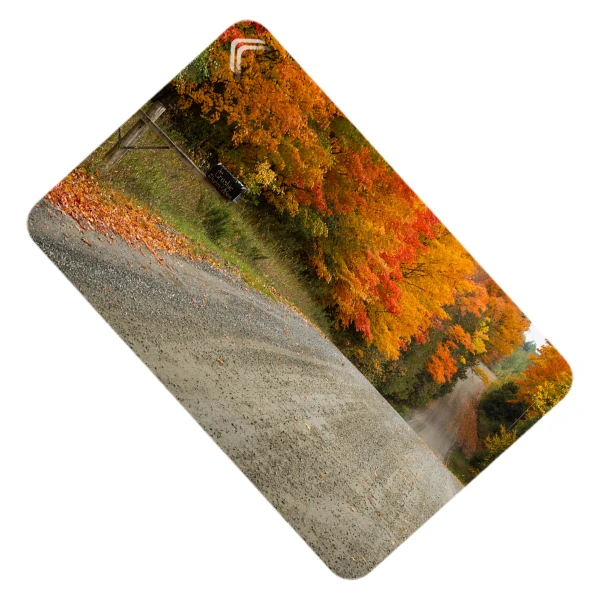 استیکر کارت طرح طبیعت مدل CAC313-K-G1-138