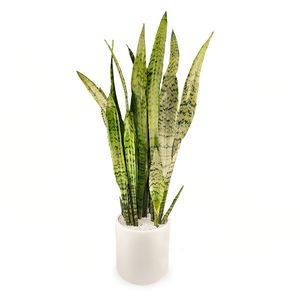 نقد و بررسی گلدان سانسوریا سبز گلیتال مدل GTL149 توسط خریداران