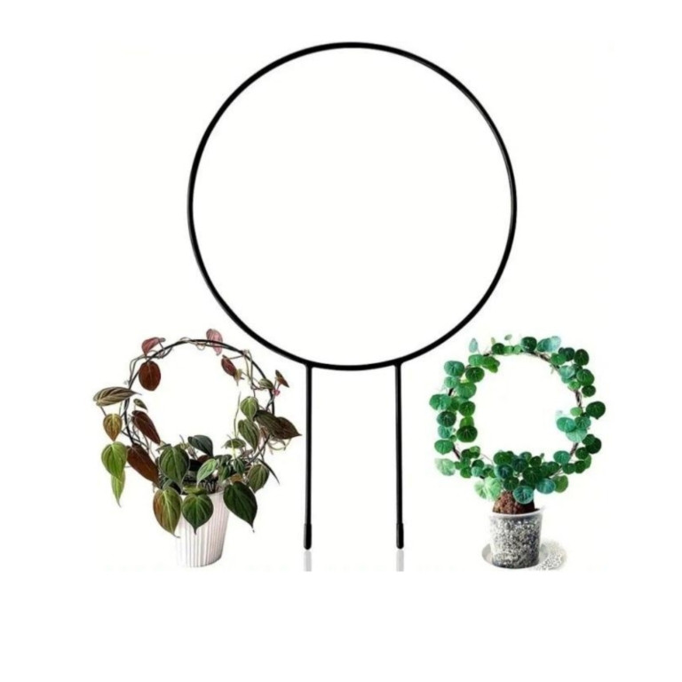 قیم نگهدارنده گیاه مدل دایره ای بسته 2 عددی