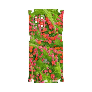 MAHOOT Atom Universe 3-FullSkin Cover Sticker for Oppo Find X3 Pro