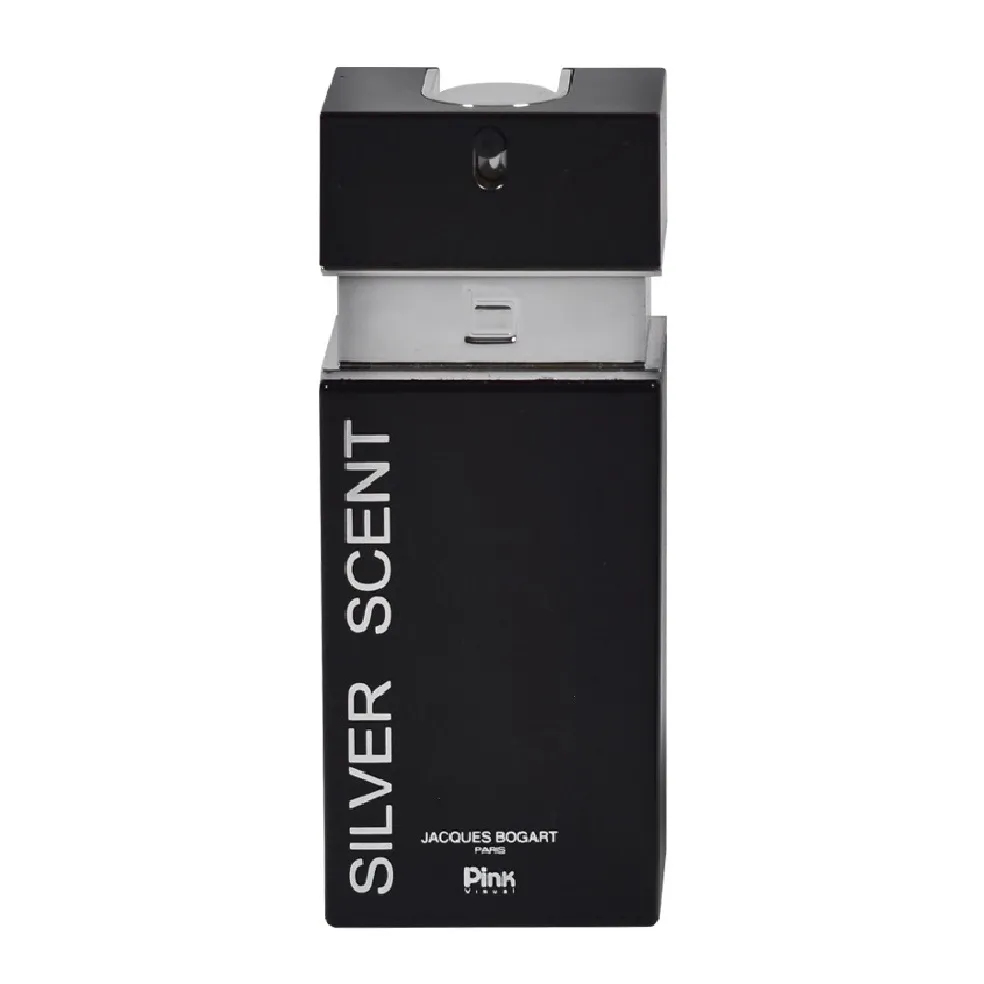 ادوپرفیوم مردانه پینک ویژوال مدل Silver Scentحجم 100 میلی‌لیتر