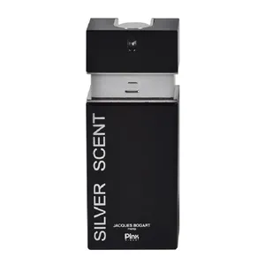 ادوپرفیوم مردانه پینک ویژوال مدل Silver Scentحجم 100 میلی‌لیتر