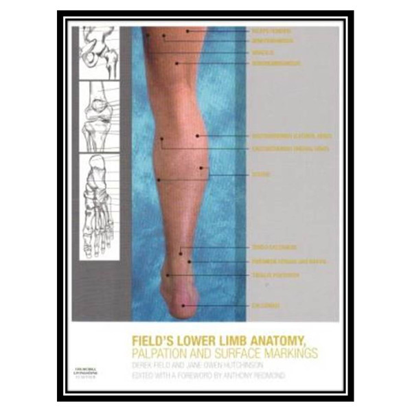 کتاب Lower Limb Anatomy, Palpation & Surface Markings اثر جمعی از نویسندگان انتشارات مؤلفین طلایی