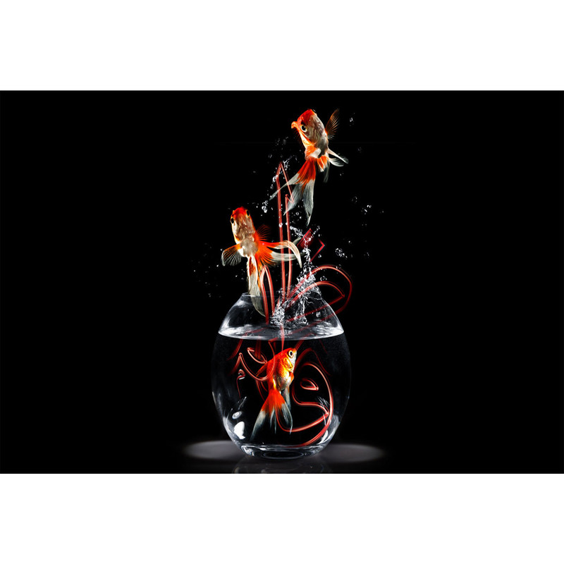 مگنت مدل تنگ ماهی T4194 