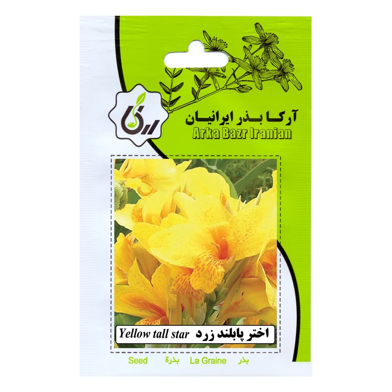بذر گل اختر پابلند زرد آرکا بذر ایرانیان کد 63-ARK