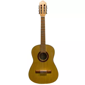 گیتار گوستاو مدل F5