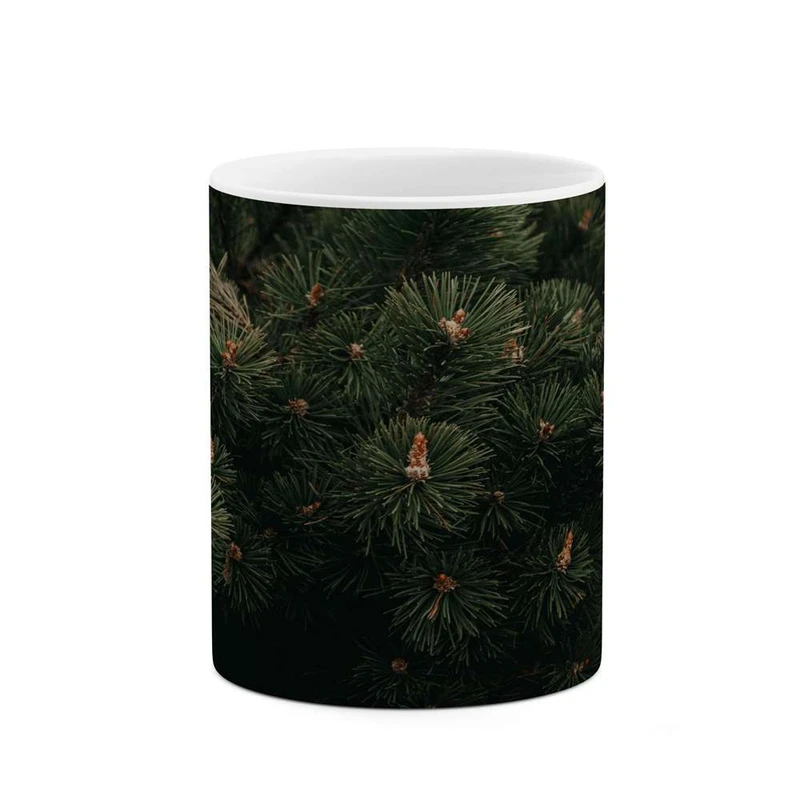 ماگ کاکتی مدل فانتزی کد mgh14495