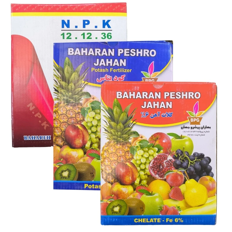 کود جامد بهاران مدل pt-fe-12 وزن 1 کیلوگرم مجموعه 3 عددی 