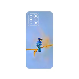 MAHOOT Cyanocitta cristata Cover Sticker for Oppo Find X3 Pro