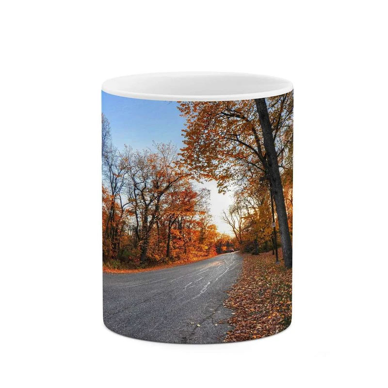 ماگ کاکتی مدل منظره کد mgh13110