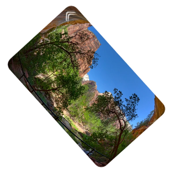 استیکر کارت طرح طبیعت مدل CAC323-K-G1-139