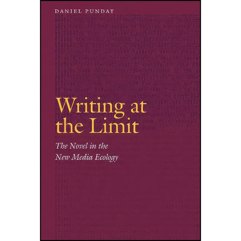 کتاب Writing at the Limit اثر Daniel Punday انتشارات University of Nebraska Press